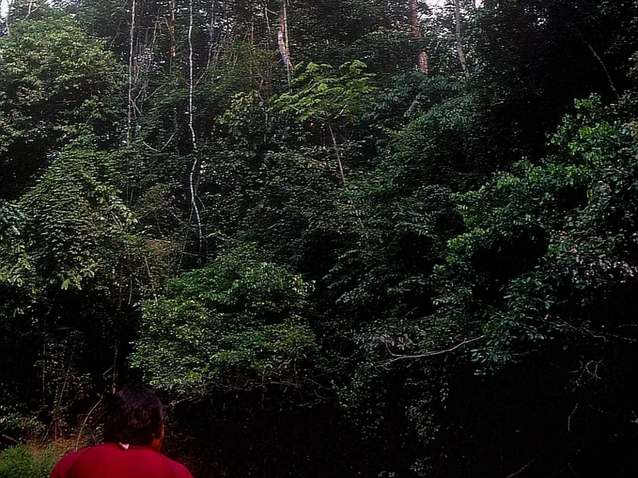 Caminata Vivencial