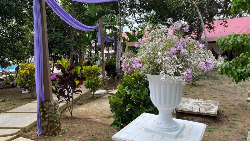 Bodas