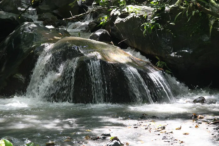 Velo de las Ninfas